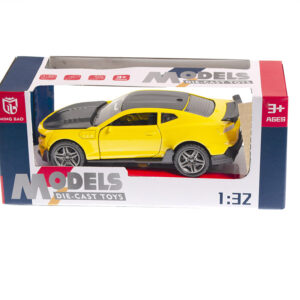 GIFT517511B.jpg