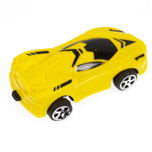 GIFT517771B.jpg