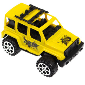 GIFT517405B.jpg