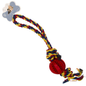 PET002012C.jpg