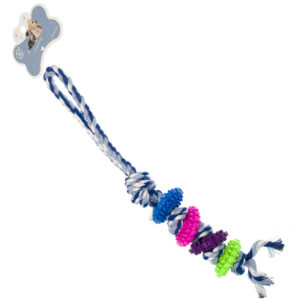PET002081A.jpg